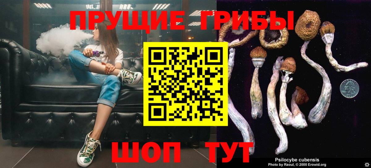 Черногорск  Галлюциногенные грибы Psilocybine cubensis  Псилоцибиновые грибы мицелий  Вход с VPN 