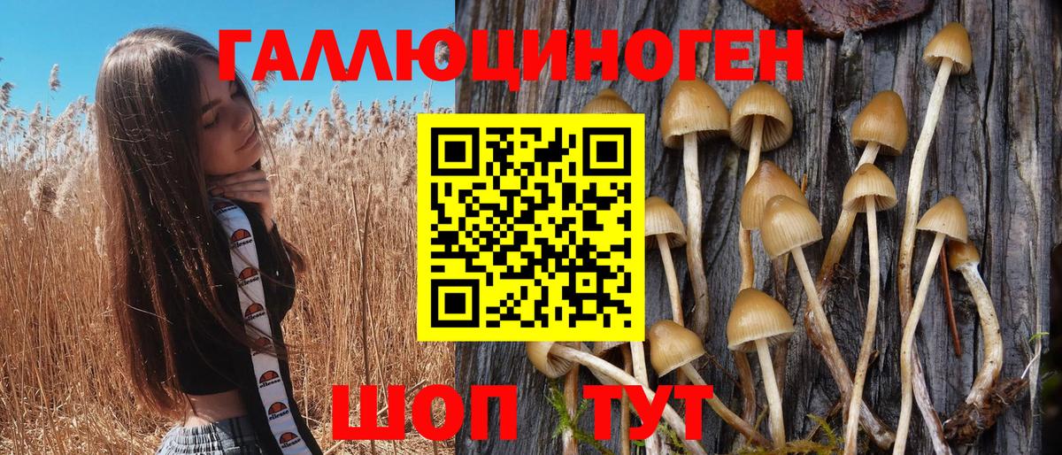 Псилоцибиновые грибы Magic Shrooms Черногорск